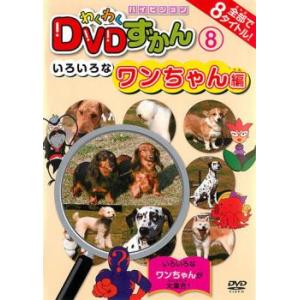 ケース無::わくわく DVDずかん 8 いろいろなワンちゃん編 レンタル落ち 中古 DVD