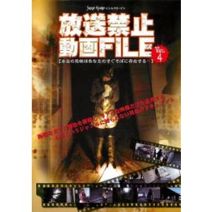 ケース無::放送禁止動画 FILE 4 本当の恐怖はあなたのすぐそばに存在する… レンタル落ち 中古 DVD