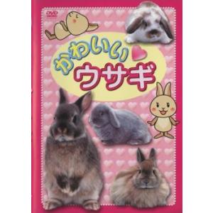 ケース無::かわいい ウサギ レンタル落ち 中古 DVD