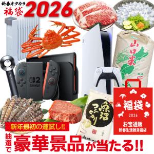 福袋 2026年 今年の特賞は PS5 Switch2 ダイソン ズワイガニ タラバガニ 黒毛和牛 【人気商品3点詰め込み】 ###ヤフーお宝福袋###