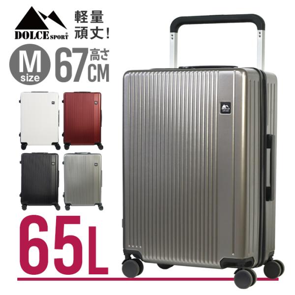 スーツケース Mサイズ 65L 大容量 TSAロック付 キャリーバッグ キャリーケース 4輪 ダブル...