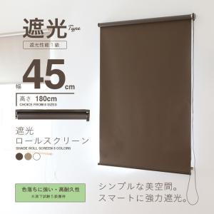 ロールスクリーン ロールカーテン ロールブラインド 幅45cm 遮光率99.99% ###スクリーンRK45###