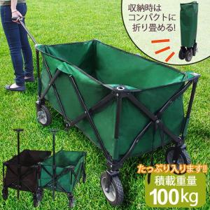 キャリーカート キャリーワゴン 折りたたみ アウトドアキャリー 耐荷重110kg 大容量 運搬 便利 簡単 コンパクト ワイルドマルチキャリー/ ###ワゴンTC1001-2###