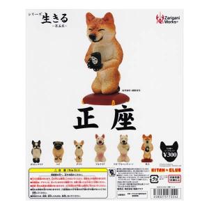 メディコムトイ×マーミット 怪獣天国 月ノ輪怪獣クレッセント : 御宅家