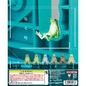 カプセル 奇譚クラブ おさんぽカエル v2.0 ボーイ : GOLDENDROP - 通販
