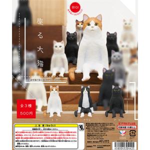 フィギュアーツZERO アニキャラヒーローズ ワンピース Vol.15 パンク