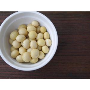 味噌用大豆 里のほほえみ(3kg)の詳細画像1