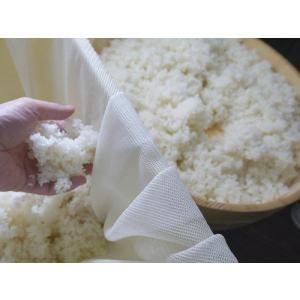 麹菌 種麹(165g詰め替え用)プラスプーン付 kcの詳細画像2