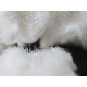 麹菌 種麹(165g詰め替え用)プラスプーン付 kcの詳細画像4