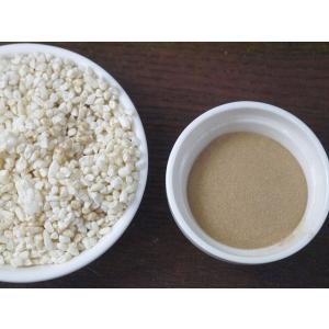 白麹菌 種麹(5g)kcの詳細画像1