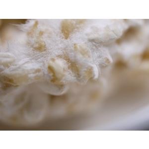 玄米麹 生麹(1kg)の詳細画像2
