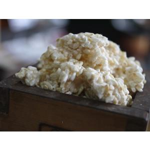 玄米麹 生麹(1kg)の詳細画像3
