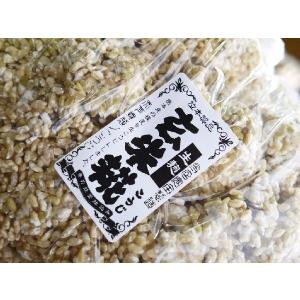 玄米麹 生麹(1kg)の詳細画像4