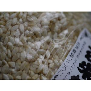 玄米麹 生麹(1kg)の詳細画像5