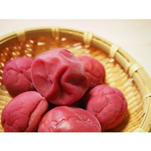 梅 パウダー(1kg)kcの詳細画像2