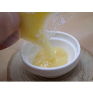 瀬戸田まるごとレモン 加糖ピューレ(7g×3)の詳細画像2
