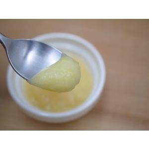 瀬戸田まるごとレモン 加糖ピューレ(7g×3)の詳細画像3