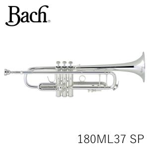 Bachバック トランペット 180ML37SP stradivarius B♭ トランペット - Stradivarius ： Bach | 野中貿易