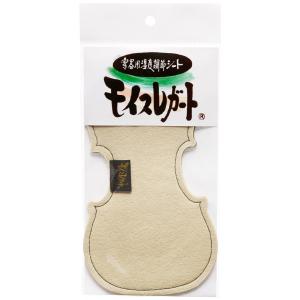 湿度調節剤モイスレガート バイオリン型｜大谷楽器