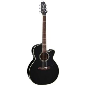 Takamine タカミネ エレクトリック アコースティックギター エレアコ 