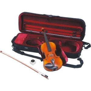 店頭に在庫あり!!】Eastman イーストマン バイオリン VL80セット