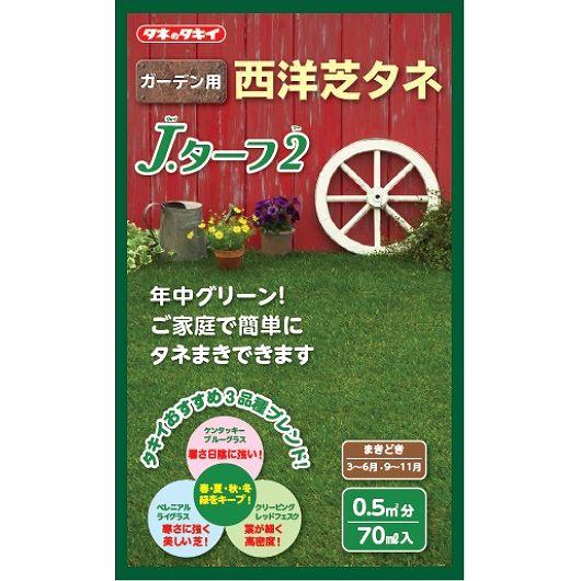 【芝草・牧草】ガーデン用西洋芝タネ　J.ターフ2（Jターフ2　ジェイターフツー）[BLG901]/小...