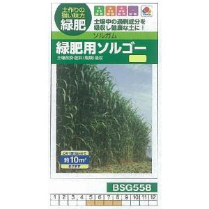 【芝草・牧草】ソルガム 緑肥用ソルゴー[BSG558]/小袋(約10平方メートル)｜otaseed