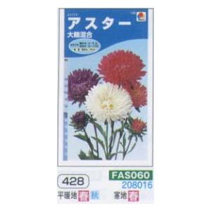 アスター 大輪 混合[FAS060]