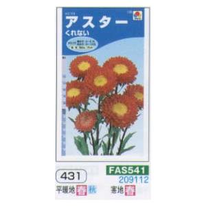 アスター くれない[FAS541]
