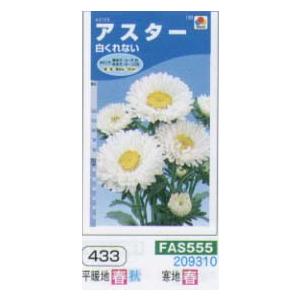 アスター 白くれない[FAS555]