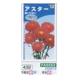 アスター 桃くれない[FAS553]