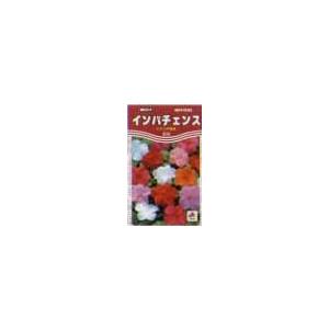 インパチェンス テンポ 混合[FEP609]