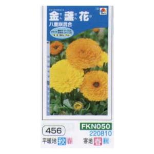 キンセンカ　金盞花　八重咲混合[FKN050]