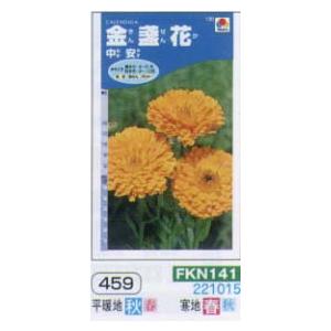 キンセンカ　金盞花　中安[FKN141]