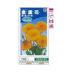 キンセンカ　金盞花　黄金中安[FKN191]