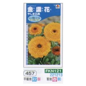 キンセンカ　金盞花　やしま芯黒[FKN121]