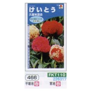 ケイトウ（けいとう　鶏頭）　久留米混合[FKT110]