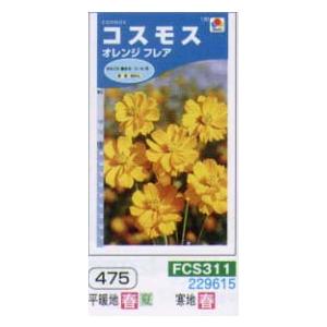 コスモス オレンジフレア[FCS311]の商品画像