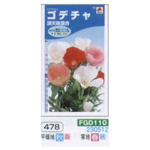 ゴデチャ(ゴデチヤ・ゴテチャ) 頂天咲混合[FG...の商品画像