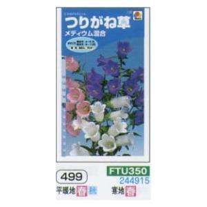 カンパニュラ つりがね草 メディウム混合[FTU...の商品画像