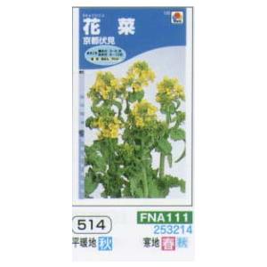 ハナナ 花菜 京都伏見[FNA111]の商品画像