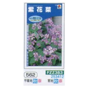 ハナナ　紫花菜[FZZ383]