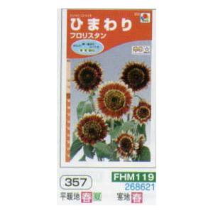 ヒマワリページ ヒマワリの花と葉 - CLIP STUDIO ASSETS