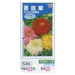 ジニア（ヒャクニチソウ　百日草）　カクタス咲混合[FZN119]