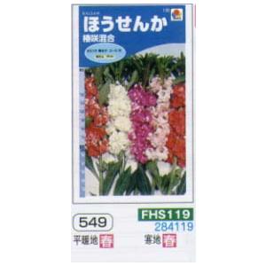 ホウセンカ　ほうせんか　椿咲混合[FHS119]