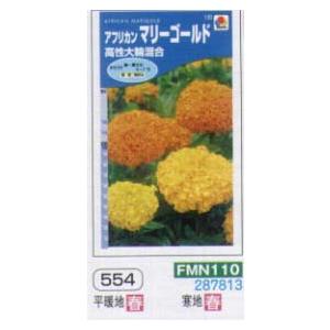 アフリカンマリーゴールド　高性大輪 混合[FMN110]