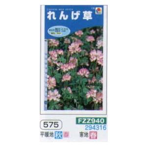レンゲソウ　れんげ草[FZZ940]