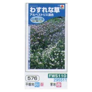 ワスレナグサ　アルペストリス混合[FWS110]