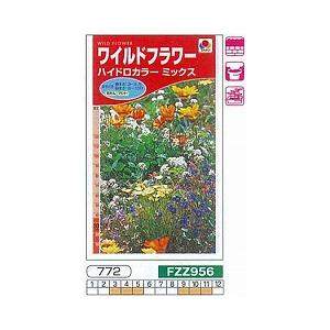 花種子 ワイルドフラワー「ハイドロカラーミックス」 15ml（タキイ種苗