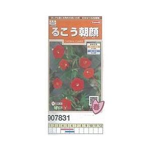 ルコウソウ るこう朝顔 9071 小袋 9071 家庭菜園 太田シード ヤフー店 通販 Yahoo ショッピング